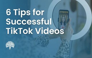 Successful TikTok Videos